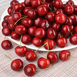 ������ ������ ������� ���� (������ ����� �����������) (� �����)   ����