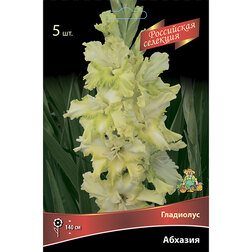 ������ ������ ��������� �������   ����