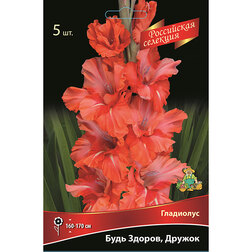 ������ ������ ��������� ���� ������, ������ (5��.)   ����