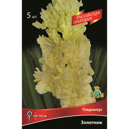 ������ ������ ��������� �������� (5��.)   ����