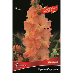 ������ ������ ��������� ����� ������� (5��.)   ����