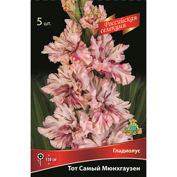 ������ ������ ��������� ��� ����� ���������� (5 ��.)   ����