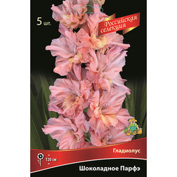 ������ ������ ��������� ���������� ����� (5 ��.)   ����