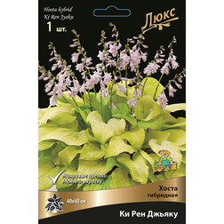 ������ ������ ����� ��������� �� ��� ������   ����