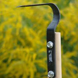 ������ ������ ��������� ������ 