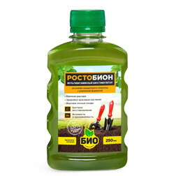 ������ ������ ��������� (0,25 �.) ���-��������   ����