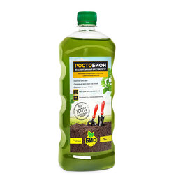 ������ ������ ��������� (1 �.) ���-��������   ����