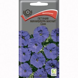 ������ ������ ������� ��������� ������ �����   ����