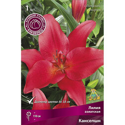 ������ ������ ����� ��������� �������� (1��.)   ����