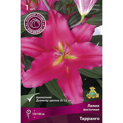 ������ ������ ����� ��������� �������� (1��.)   ����