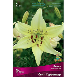 ������ ������ ����� ��������� ���� ��������� (2��.)   ����