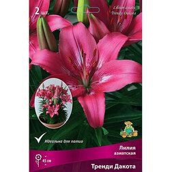 ������ ������ ����� ��������� ������ ������ (2��.)   ����