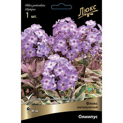 ������ ������ ����� ����������� �������   ����