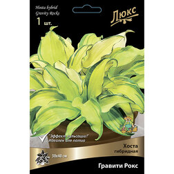 ������ ������ ����� ��������� ������� ����   ����