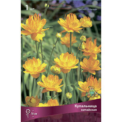 ������ ������ ���������� ���������   ����