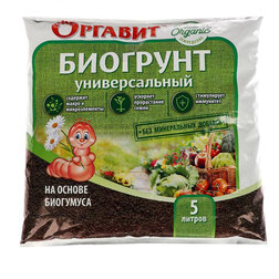 ������ ������ �������� �� ������ ��������� (5�.) �������   ����