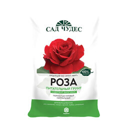 ������ ������ ���� 5� ����   ����