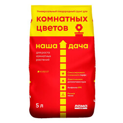 ������ ������ ��������� �/��������� 5� ���� ����   ����