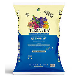 ������ ������ ����� ����� ��������� 5�   ����