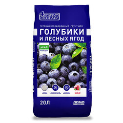 ������ ������ ����� ��� ��������, ������ ���� (20�.) ������ ������   ����