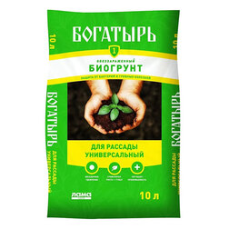 ������ ������ ����� ��� ������� ������������� �������� (10�.) ���� ����   ����