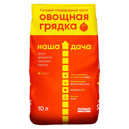 ������ ������ ������� ������ 10� ���� ����   ����