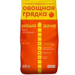 ������ ������ ������� ������ 60� ���� ����   ����