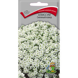 ������ ������ ������� ������� ����   ����