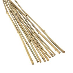 ������ ������ ���������� ����� 105 �� 8-10 �� (10 ��.)   ����