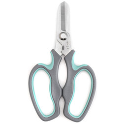 ������ ������ ������������������� ������� ������� ZM 2009   ����