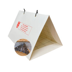 ������ ������ *������� � ��������� � ��������� ��������� �����   ����