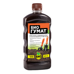 ������ ������ �������� (0,5�.) ���-��������   ����