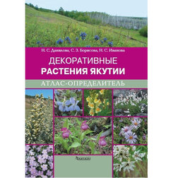 ������ ������ �����-������������. ������������ �������� ������   ����