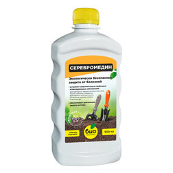 ������ ������ ������������ (0,5�.) ���-��������   ����