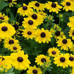 ������ ������ �������� ����� ���� ����� (1��-1000�����) ���������������� ������   ����