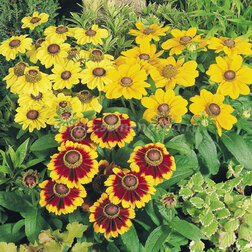 ������ ������ �������� ����� ���� ���� (1��-1000�����) ���������������� ������   ����