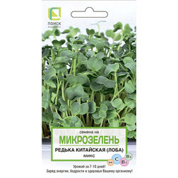 ������ ������ ������ ��������� (����) ���� (�����������)   ����