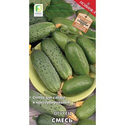 ������ ������ ������ �����   ����