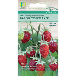 ������ ������ ��������� ������������ (�����) ����� ��������� (100��.)   ����