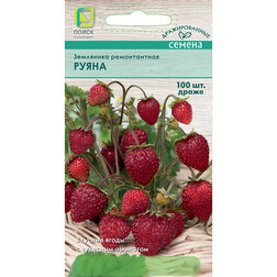 ������ ������ ��������� ������������ (�����) ����� (100��.)   ����