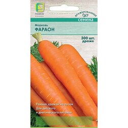 ������ ������ ������� (�����) ������ (300��.)   ����