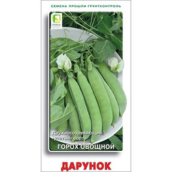 ������ ������ ����� ������� �������   ����