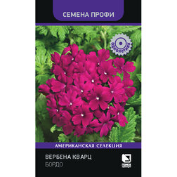 ������ ������ ������� ����� ����� (������ �����)   ����