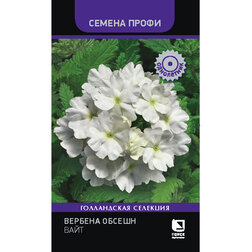 ������ ������ ������� ������ ���� (������ �����)   ����