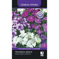 ������ ������ �������� ����� ��������� ���� (������ �����)   ����