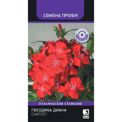 ������ ������ �������� ����� ������� (������ �����)   ����