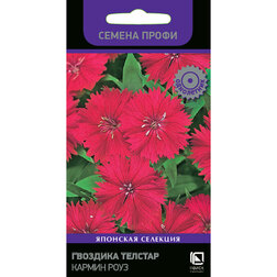 ������ ������ �������� ������� ������ ���� (������ �����)   ����