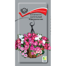 ������ ������ ���������� ��������� ������������� ����   ����