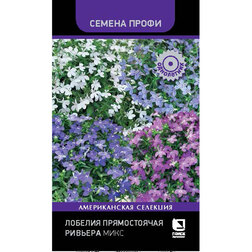 ������ ������ ������� ������������ ������� ���� (������ �����)   ����