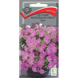 ������ ������ ������� ��������� ����� ����   ����